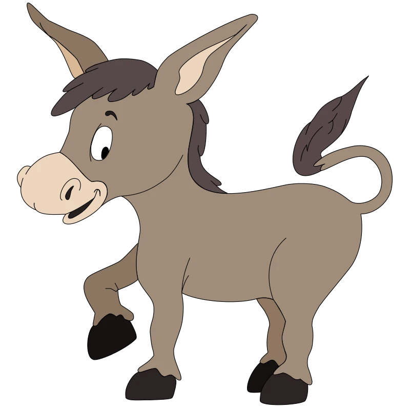 A donkey