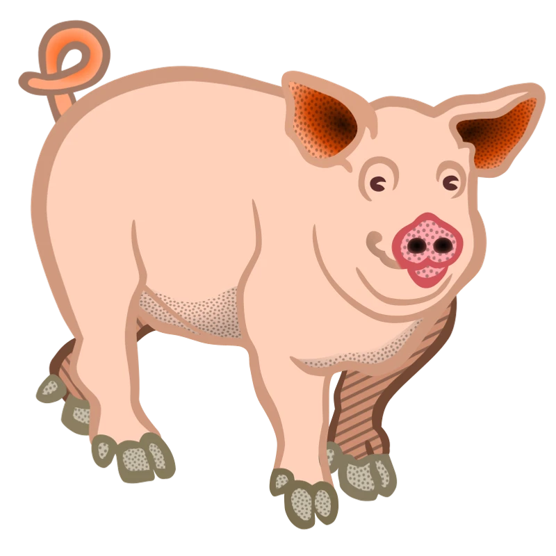 A pig