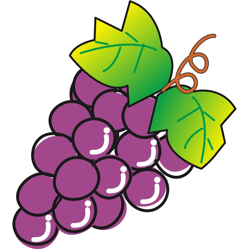 A bunch of purple grapes