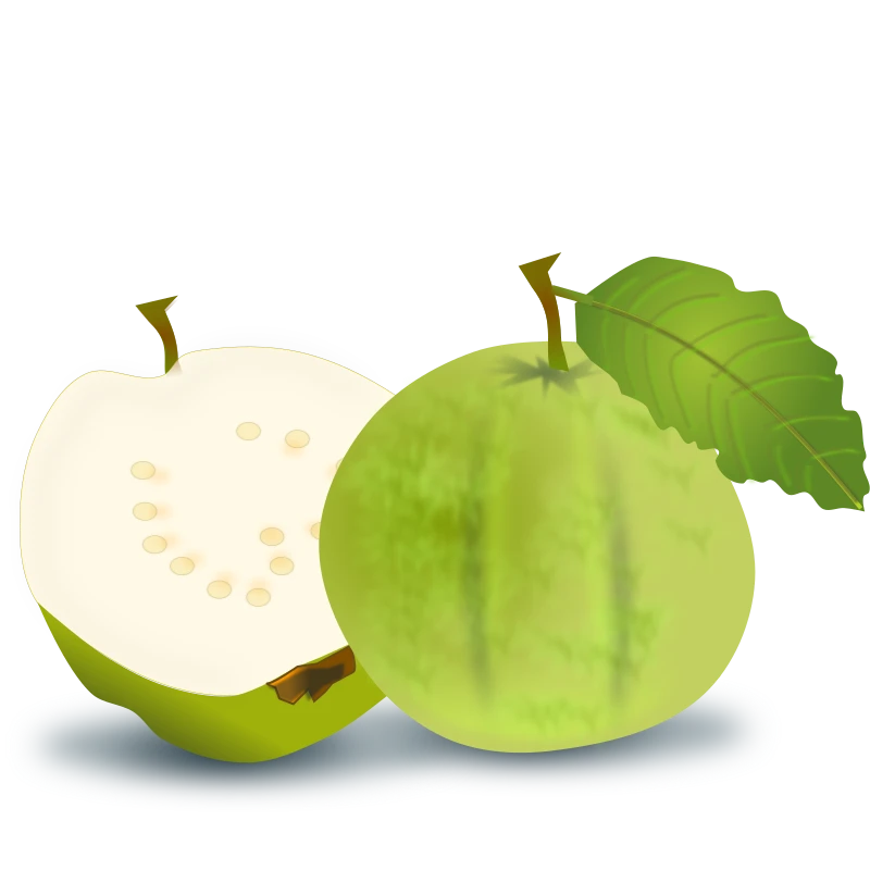 A green guava with a slice showing white inside