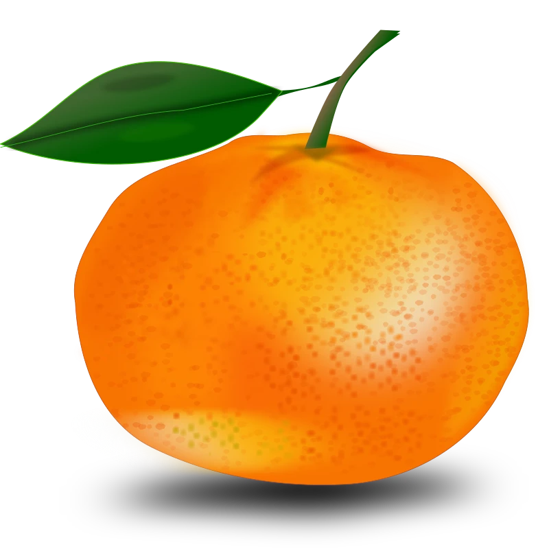 An orange fruit