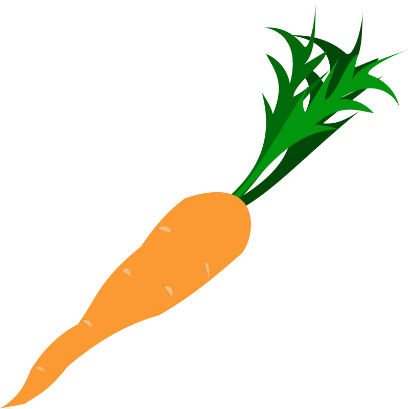 An orange carrot