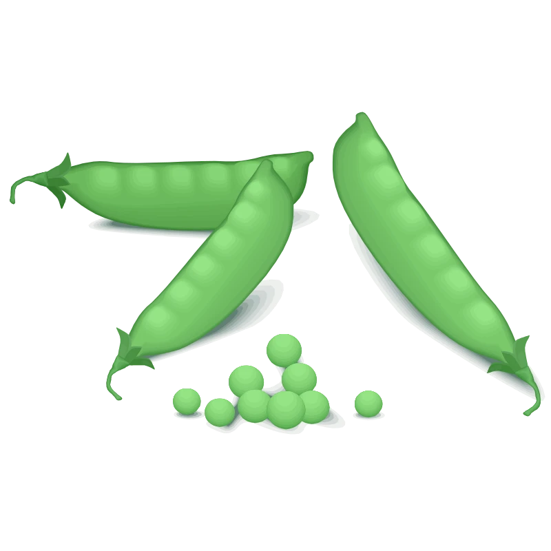 Green peas in a pod