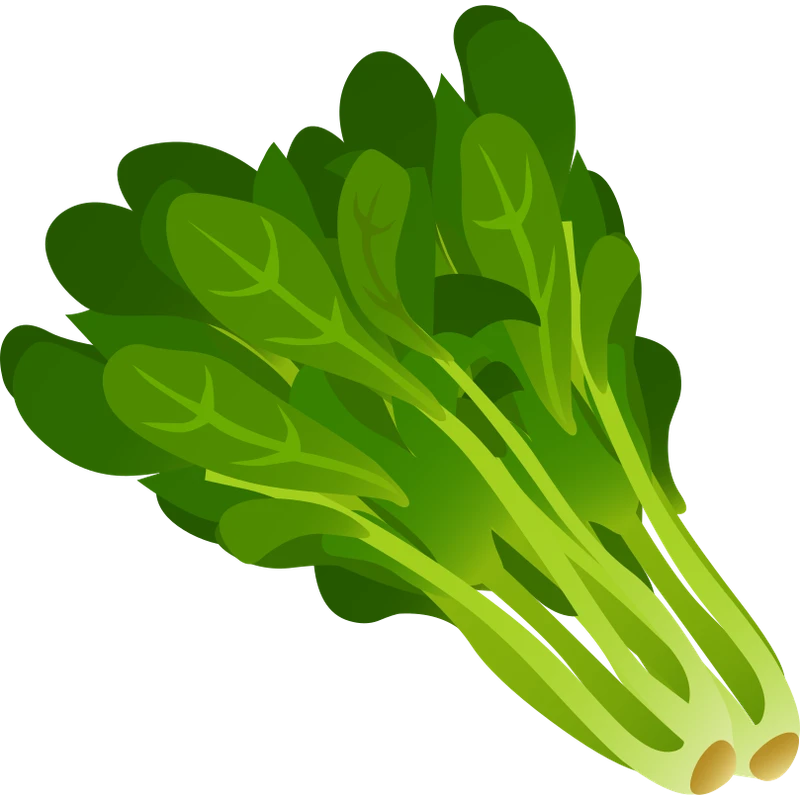 A bunch of green spinach leaves